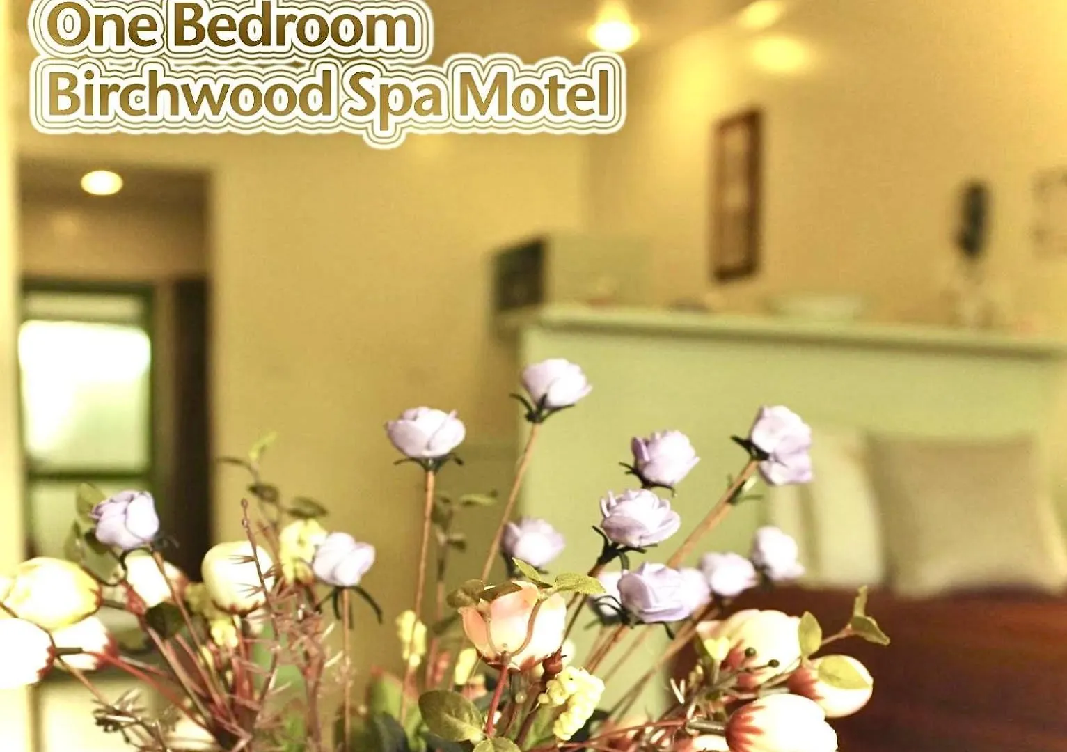 ****  Birchwood Spa Motel Rotorua New Zealand